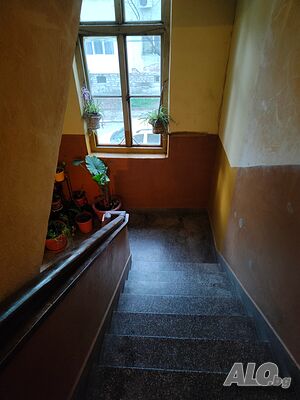 image_7