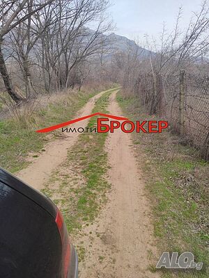 image_3