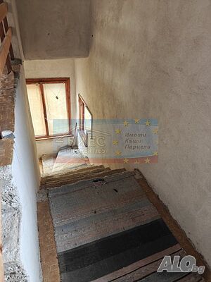 image_11