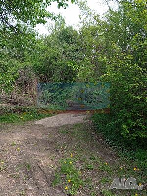 image_9