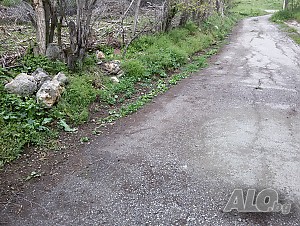 image_6