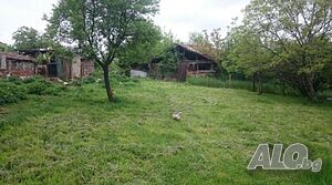 image_12