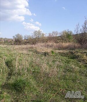 УПИ - 11 дка в кв. ’Калкас’