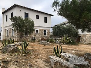 image_8
