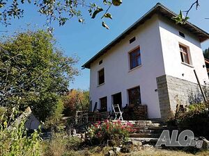 image_2