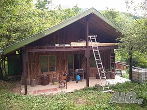 image_9