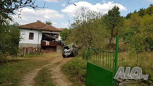 image_11