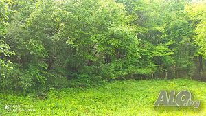 image_2