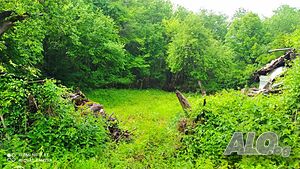 image_4