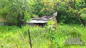 image_7