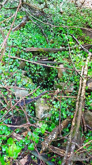 image_8