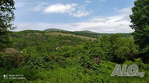 image_9