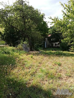 image_10
