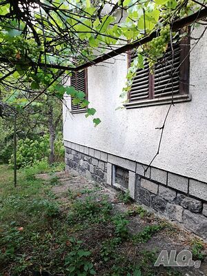 image_11