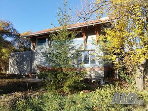 image_7