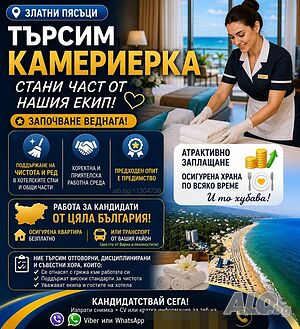 Камериерка сезон 2026г.