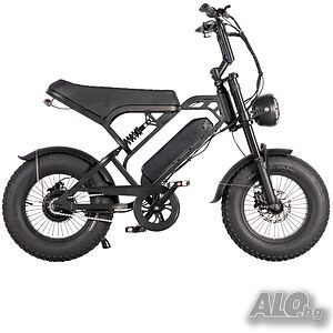 V20 Pro Mini Fatbike