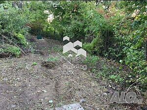 image_7