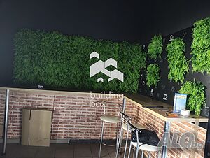 image_9