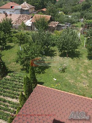 image_3