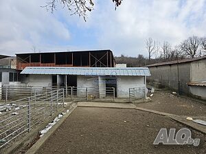 image_5