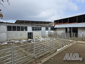 image_6