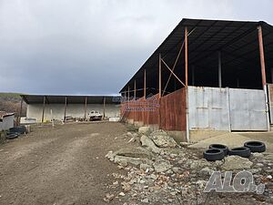 image_7