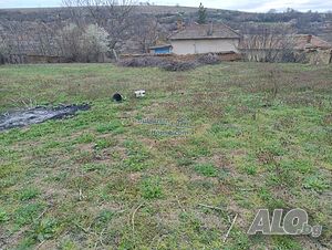 image_6