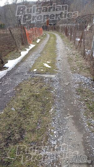 image_6