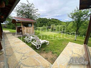 image_7