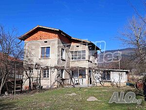 image_7