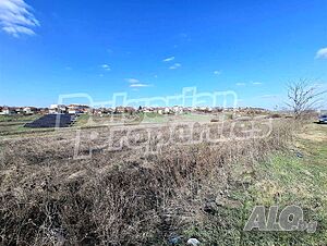 image_7