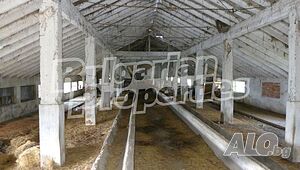 image_7