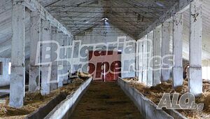 image_8
