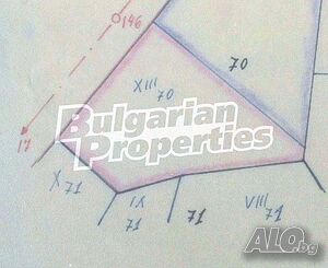 image_6