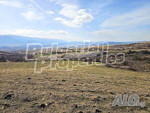 image_7