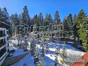 image_11