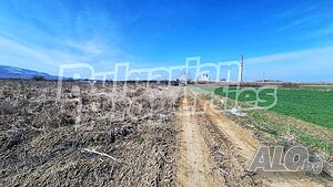 image_8