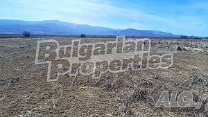 image_10