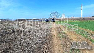 image_11