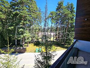 image_8