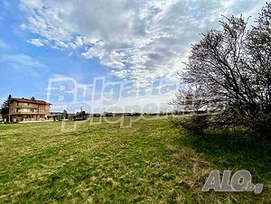 image_8