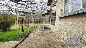 image_3