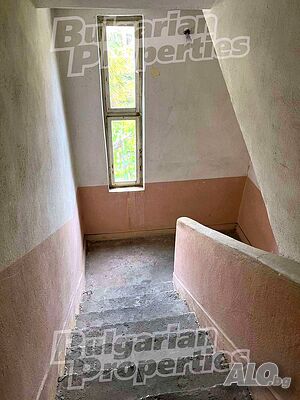 image_7