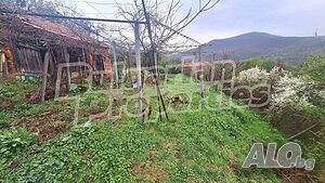 image_14