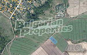 image_5
