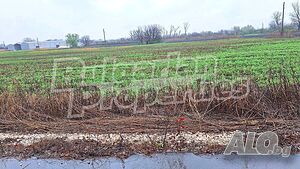 image_5