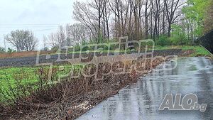 image_6