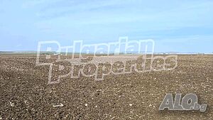 image_11