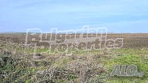 image_14